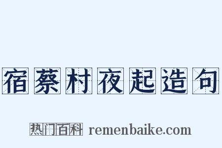 宿蔡村夜起造句是什么意思的图片